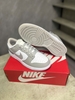 Nike Dunk Low "Retro Grey Fog" DD1391-103