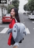 balo-ca-map-nhung-hong-phan