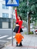 balo-ca-map-nhung-hong-phan