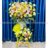 cat-tuong-nhu-y-bn-cm036