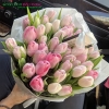 bo-hoa-tulip-tang-vo-bn-b0211