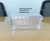 Hộp nhựa đựng trái cây 2kg có lỗ và không lỗ