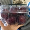 Hộp nhựa đựng trái cây 1kg P1000B