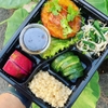 Hộp nhựa 5 ngăn đỏ đen HC5