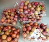 Hộp nhựa đựng trái cây 2kg có lỗ và không lỗ