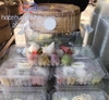 Hộp nhựa đựng trái cây cắt sẵn BOX 100