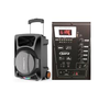 Loa kéo di động SP-TS1503 Surpass