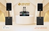 Combo karaoke MS-VIP12