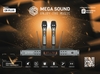 Micro không dây MegaSound Q9 Plus