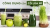 10 Lợi ích dựa trên bằng chứng khoa học của cỏ lúa mì