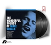 VARIOUS ARTISTS - The Wonderful Sounds of Male Vocals