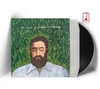 IRON & WINE - our endless numbered days