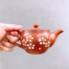 Bộ ấm chén uống trà ?? Gốm Sứ Bát Tràng ?? bộ ấm trà,Tử Sa mai trắng decor GOMPHUQUY AC09