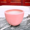 Chậu trồng cây ?? Gốm Sứ Bát Tràng ?? chậu trồng sen đá,chậu Bát đẹp decor GOMPHUQUY TM35
