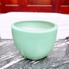 Chậu trồng cây ?? Gốm Sứ Bát Tràng ?? chậu trồng sen đá,chậu Bát đẹp decor GOMPHUQUY TM35