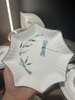 Đĩa sao trúc chuồn