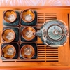 Bộ ấm chén uống trà ⚱  ấm trà Dẹt Cẩm Lai Xanh ⚱ Gốm Sứ Bát Tràng GOMPHUQUY HN02