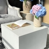 Đôn vuông PLINTH CUBE COFFEE TABLE - Đá xi măng