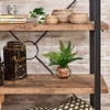Kệ sách 4 tầng x Base Inspire Q
