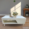 Bàn Sofa Table Whith Storage màu ngọc trai