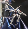 FREEDOM GUNDAM RG 1/144 BANDAI