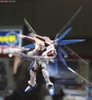FREEDOM GUNDAM RG 1/144 BANDAI