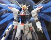 FREEDOM GUNDAM RG 1/144 BANDAI
