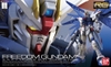 FREEDOM GUNDAM RG 1/144 BANDAI