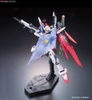 DESTINY GUNDAM RG 1/144 BANDAI