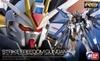 STRIKE FREEDOM GUNDAM RG 1/144 BANDAI