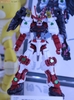SENGOKU ASTRAY GUNDAM HG BF 1/144 BANDAI