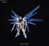 FREEDOM GUNDAM HG CE 1/144 BANDAI