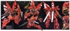 SINANJU RG 1/144 BANDAI