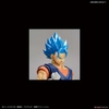 Figure-rise Standard SUPER SAIYAN GOD SUPER SAIYAN VEGETTO BANDAI