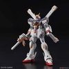 CROSSBONE GUNDAM RG 1/144 BANDAI