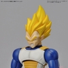 LEGENDARY SUPER SAIYAN BROLY Figure-rise Standard BANDAI