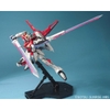 SWORD IMPULSE GUNDAM MG 1/100 BANDAI
