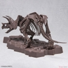 1/32 Imaginary Skeleton TRICERAPTOR
