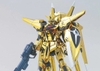 OOWASHI AKATSUKI GUNDAM HG SEED 1/144 BANDAI