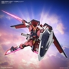 IMMORTAL JUSTICE GUNDAM HG SEED 1/144 BANDAI