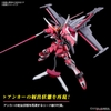 INFINITE JUSTICE GUNDAM Type Ⅱ 2 HG SEED 1/144 BANDAI