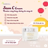 SET 2 STEM-C by MEDI PHARM: SERUM & CREAM