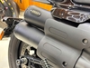 HARLEY DAVIDSION SPORTSTERS S 1250 2021