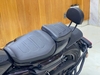 HARLEY DAVIDSION SPORTSTERS S 1250 2021