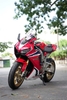 HONDA CBR1000RR SP1 2019