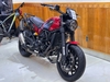 BENELLI LEONCINO 500 ABS 2021