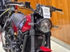 BENELLI LEONCINO 500 ABS 2021
