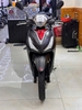 KYMCO CANDY HEMOSA 50 2024