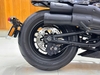 HARLEY DAVIDSION SPORTSTERS S 1250 2021