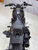 HARLEY DAVIDSION SPORTSTERS S 1250 2021